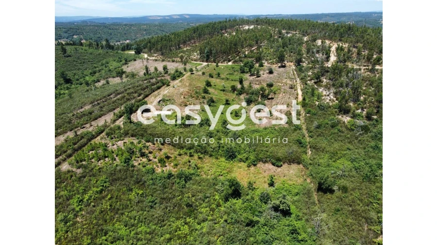 Terreno para Venda em Côja e Barril de Alva Foto 12