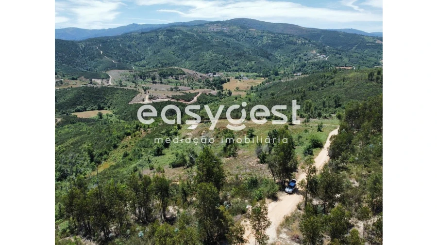 Terreno para Venda em Côja e Barril de Alva Foto 14