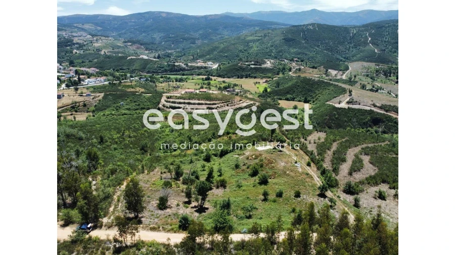 Terreno para Venda em Côja e Barril de Alva Foto 15