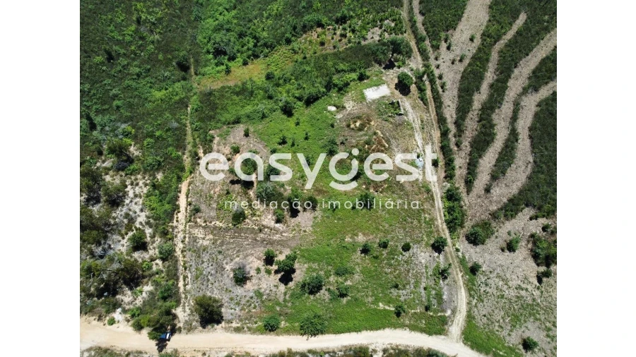 Terreno para Venda em Côja e Barril de Alva Foto 16