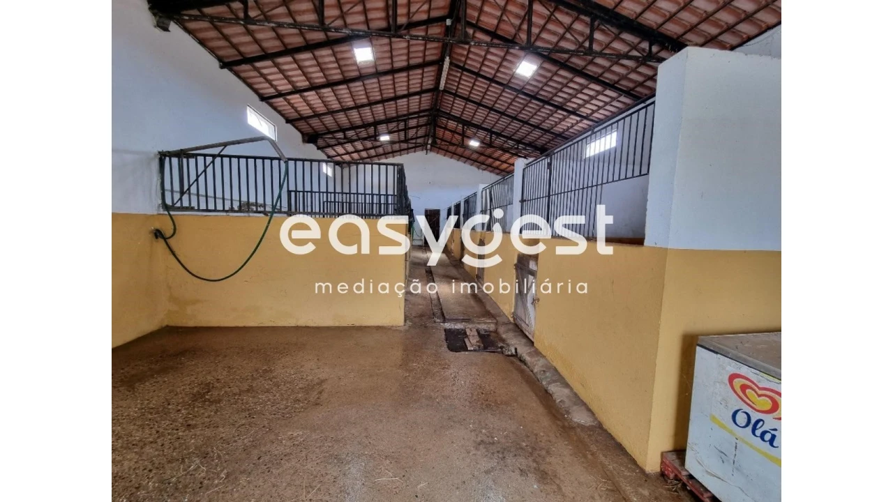 Quinta T2 para Venda em Santo Agostinho e São João Baptista e Santo Amador Foto 11