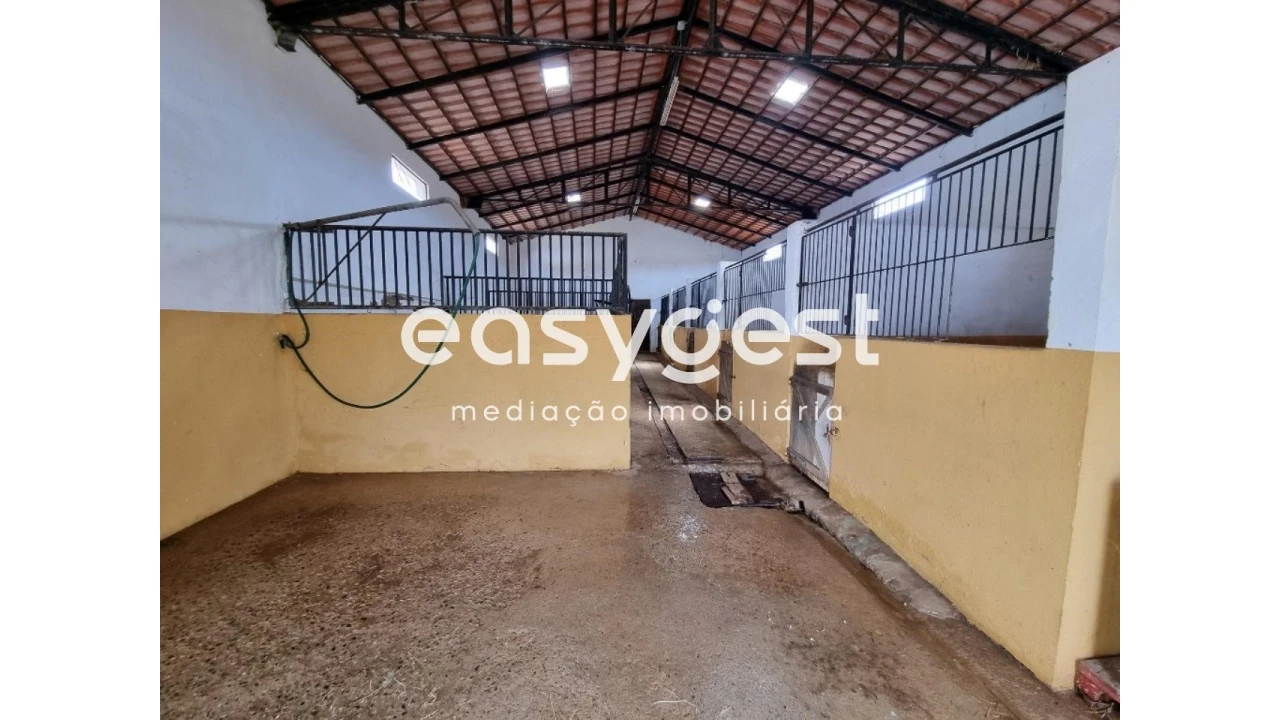 Quinta T2 para Venda em Santo Agostinho e São João Baptista e Santo Amador Foto 12