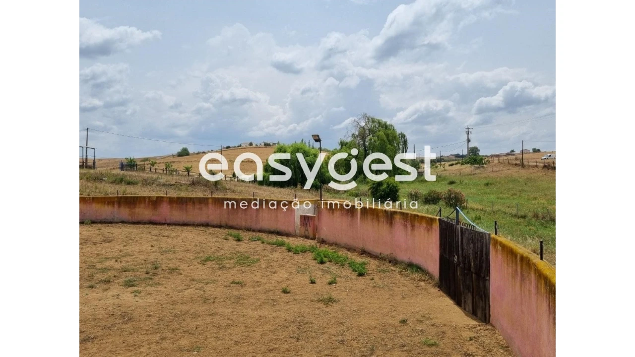 Quinta T2 para Venda em Santo Agostinho e São João Baptista e Santo Amador Foto 22