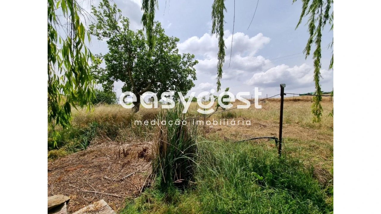 Quinta T2 para Venda em Santo Agostinho e São João Baptista e Santo Amador Foto 27