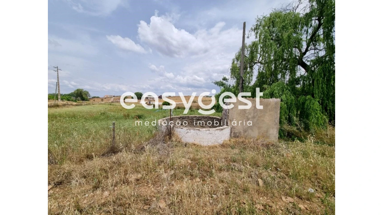 Quinta T2 para Venda em Santo Agostinho e São João Baptista e Santo Amador Foto 28