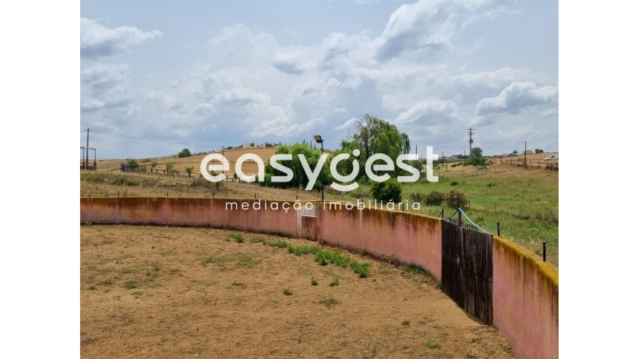 Quinta T2 para Venda em Santo Agostinho e São João Baptista e Santo Amador Foto 22