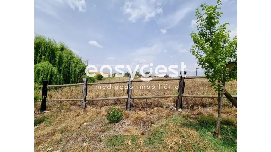 Quinta T2 para Venda em Santo Agostinho e São João Baptista e Santo Amador Foto 25