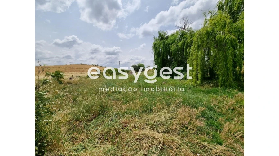 Quinta T2 para Venda em Santo Agostinho e São João Baptista e Santo Amador Foto 26