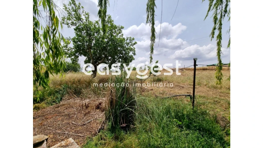 Quinta T2 para Venda em Santo Agostinho e São João Baptista e Santo Amador Foto 27