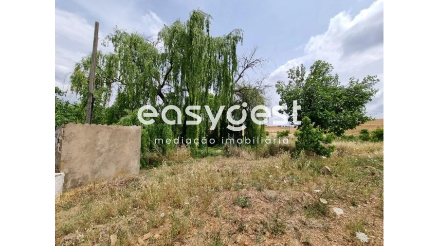 Quinta T2 para Venda em Santo Agostinho e São João Baptista e Santo Amador Foto 29