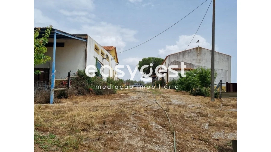 Quinta T2 para Venda em Santo Agostinho e São João Baptista e Santo Amador Foto 30