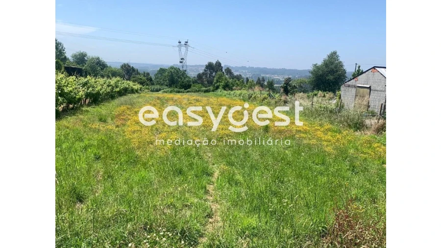 Terreno para Venda em Trofa, Segadães e Lamas do Vouga Foto 2