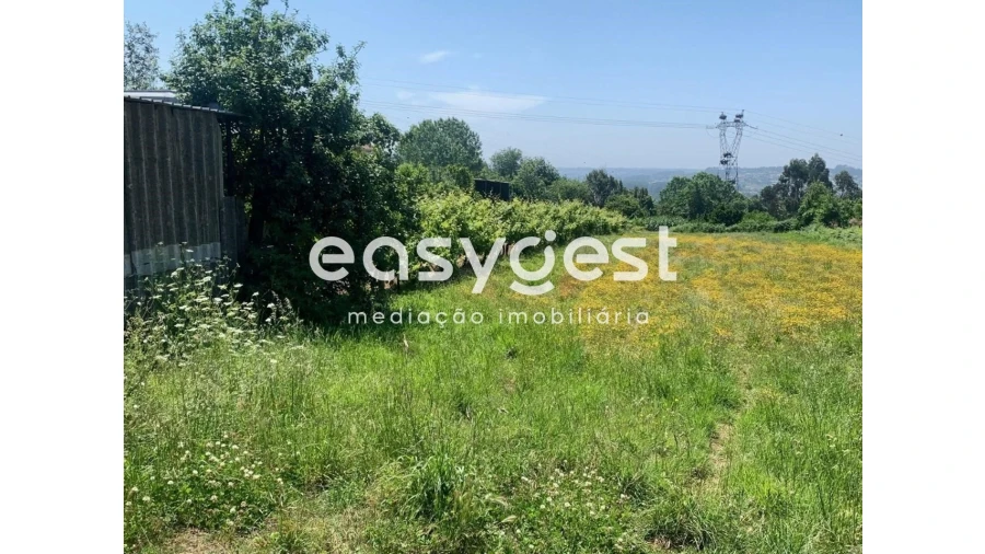 Terreno para Venda em Trofa, Segadães e Lamas do Vouga Foto 3