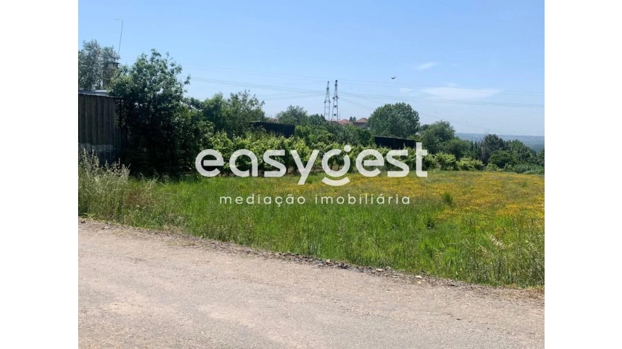 Terreno para Venda em Trofa, Segadães e Lamas do Vouga Foto 4