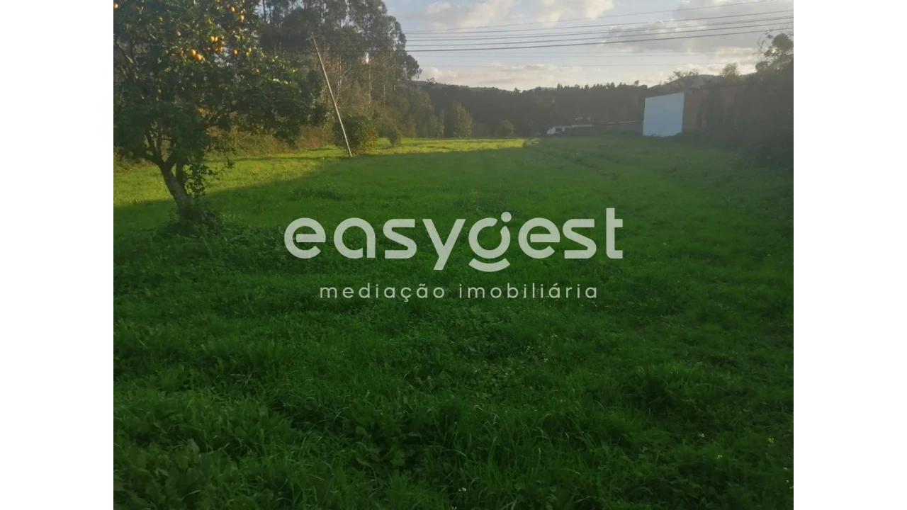 Terreno para Venda em Condeixa-A-Velha e Condeixa-A-Nova Foto 1