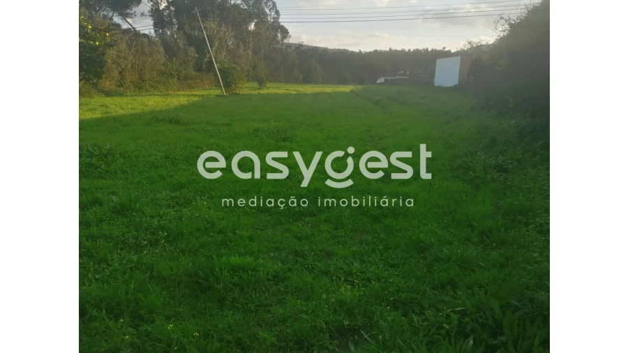 Terreno para Venda em Condeixa-A-Velha e Condeixa-A-Nova Foto 2