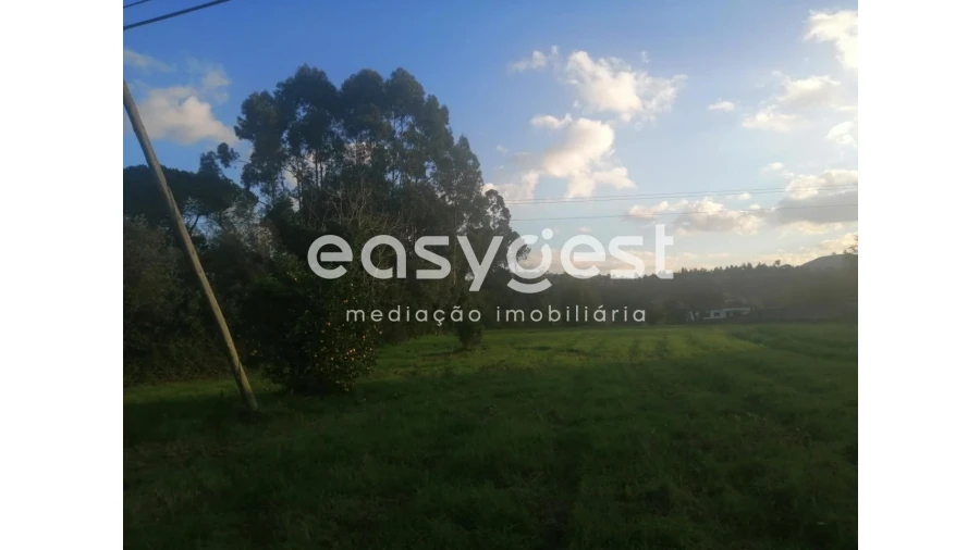 Terreno para Venda em Condeixa-A-Velha e Condeixa-A-Nova Foto 3