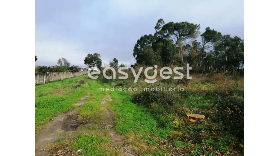 Terreno para Venda em Condeixa-A-Velha e Condeixa-A-Nova Foto 8