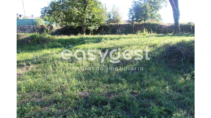 Terreno para Venda em Condeixa-A-Velha e Condeixa-A-Nova Foto 12
