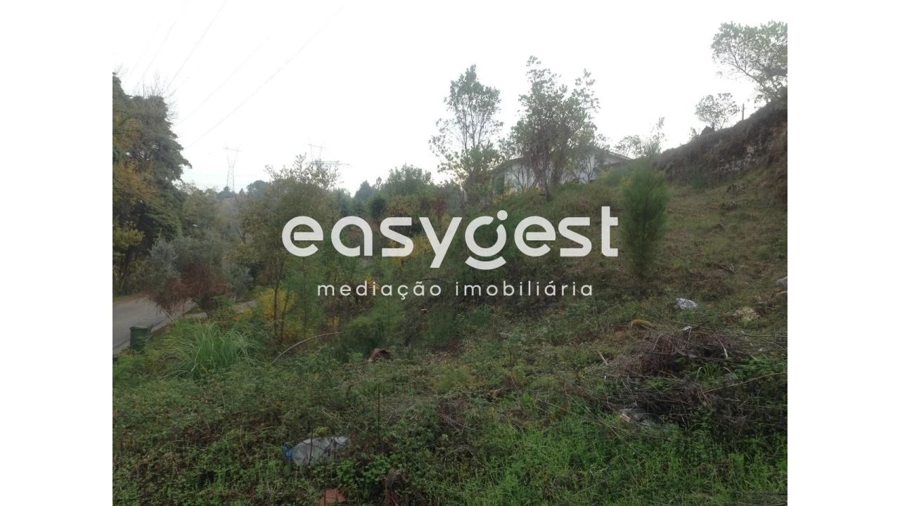 Terreno para Venda em Santa Clara e Castelo Viegas Foto 3