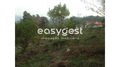 Terreno para Venda em Santa Clara e Castelo Viegas