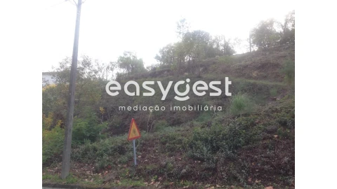 Terreno para Venda em Santa Clara e Castelo Viegas