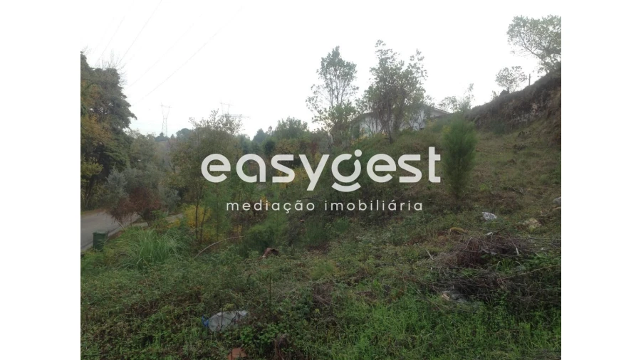 Terreno para Venda em Santa Clara e Castelo Viegas Foto 3