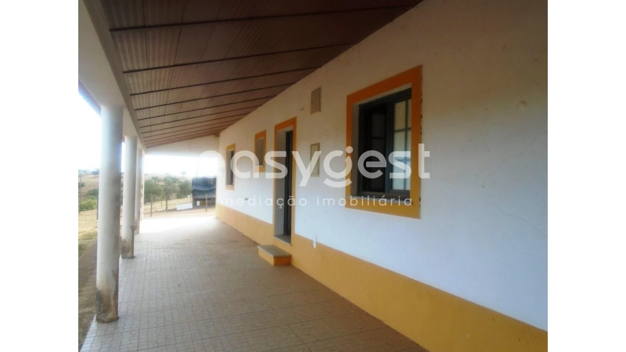 Quinta T3 para Venda em Serpa (Salvador e Santa Maria) Foto 5