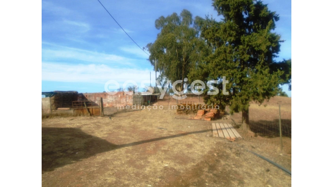 Quinta T3 para Venda em Serpa (Salvador e Santa Maria) Foto 16