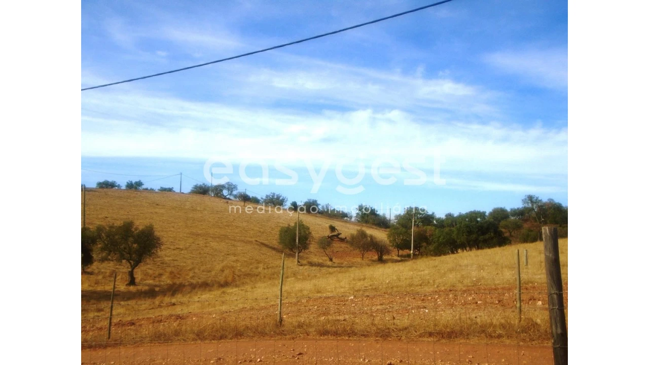 Quinta T3 para Venda em Serpa (Salvador e Santa Maria) Foto 20