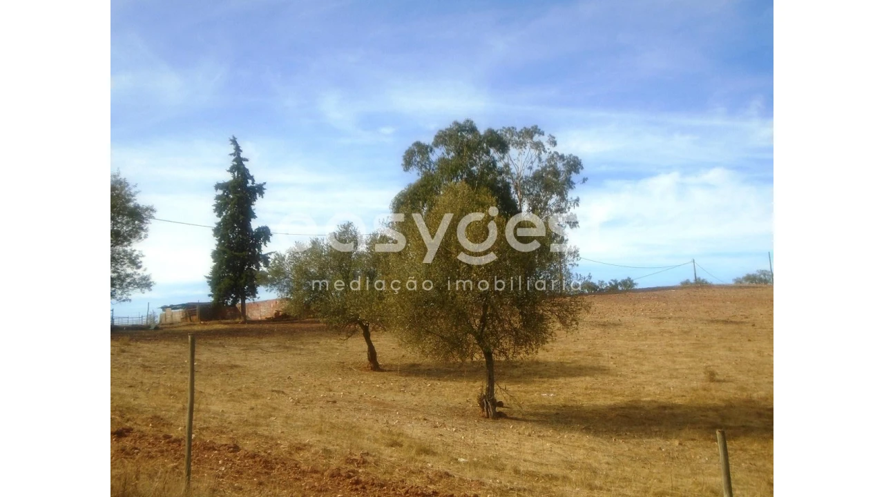 Quinta T3 para Venda em Serpa (Salvador e Santa Maria) Foto 21