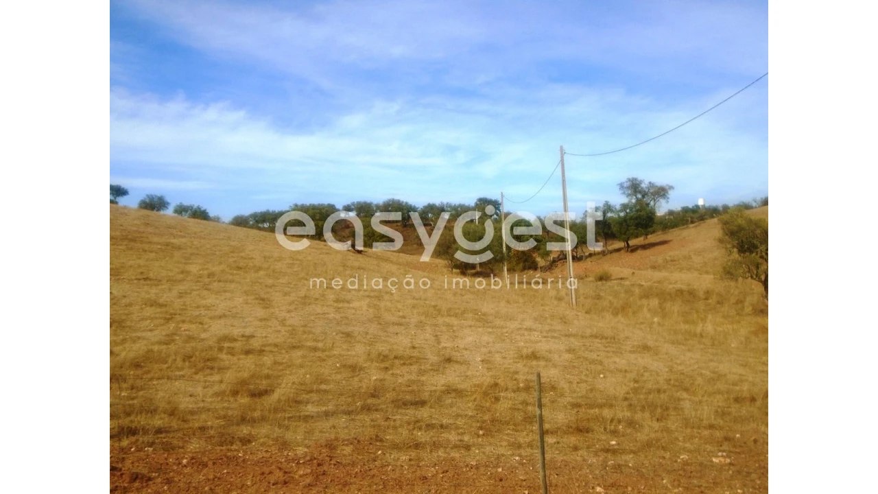 Quinta T3 para Venda em Serpa (Salvador e Santa Maria) Foto 22