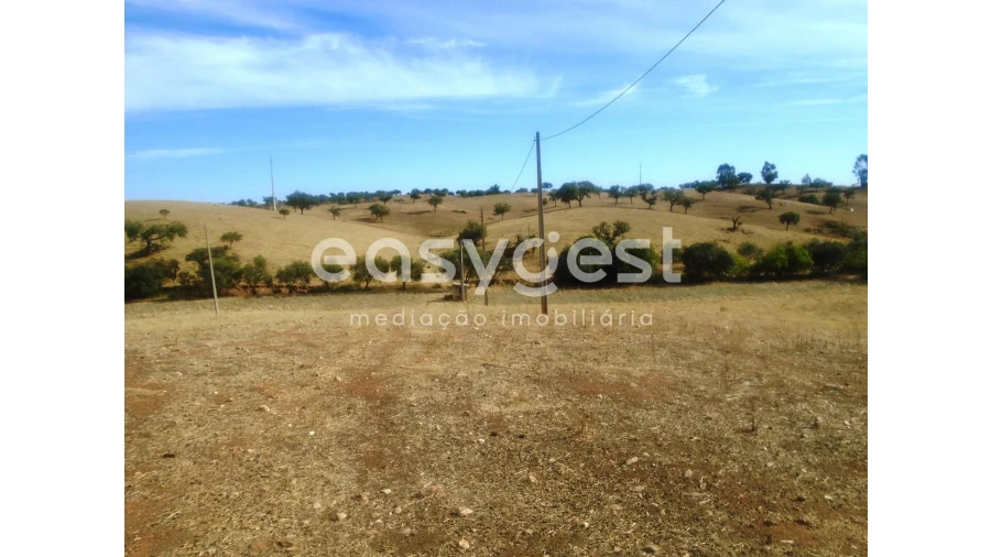 Quinta T3 para Venda em Serpa (Salvador e Santa Maria) Foto 10