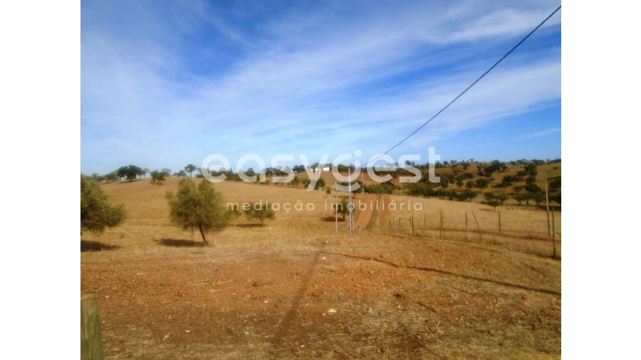 Quinta T3 para Venda em Serpa (Salvador e Santa Maria) Foto 11