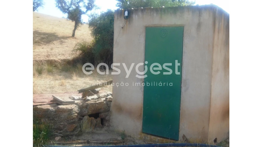 Quinta T3 para Venda em Serpa (Salvador e Santa Maria) Foto 12