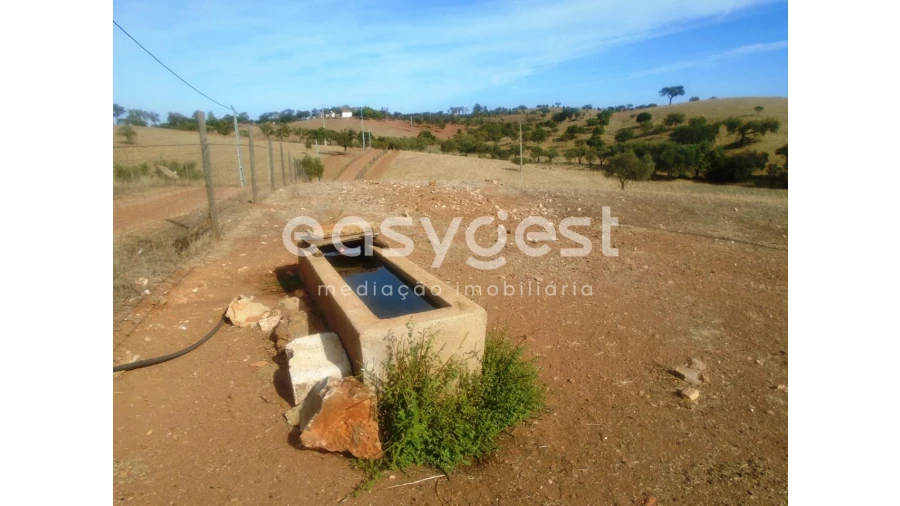 Quinta T3 para Venda em Serpa (Salvador e Santa Maria) Foto 14