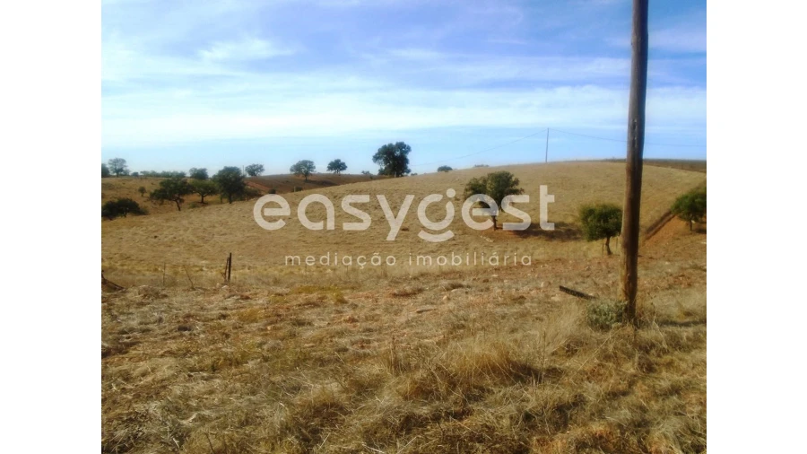 Quinta T3 para Venda em Serpa (Salvador e Santa Maria) Foto 15