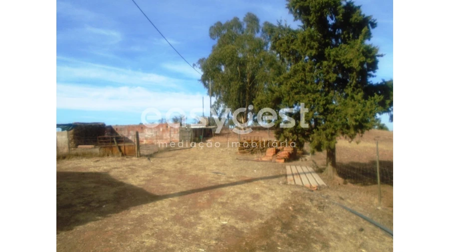 Quinta T3 para Venda em Serpa (Salvador e Santa Maria) Foto 16