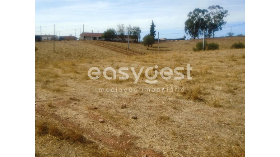 Quinta T3 para Venda em Serpa (Salvador e Santa Maria) Foto 18