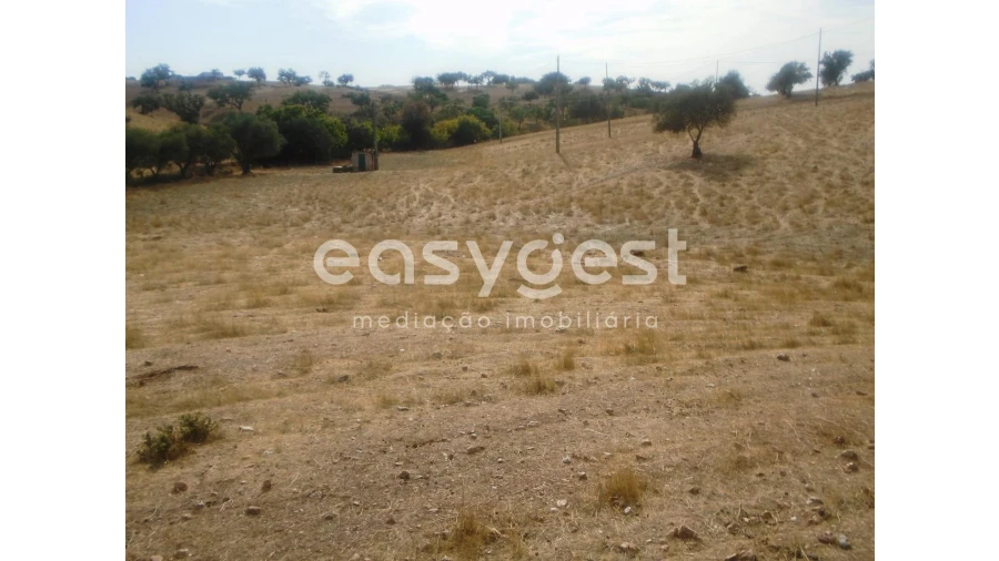 Quinta T3 para Venda em Serpa (Salvador e Santa Maria) Foto 19