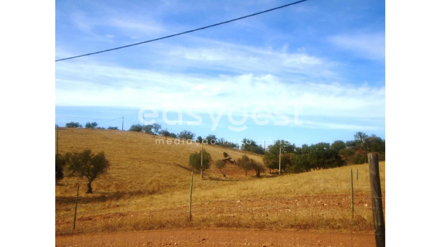 Quinta T3 para Venda em Serpa (Salvador e Santa Maria) Foto 20