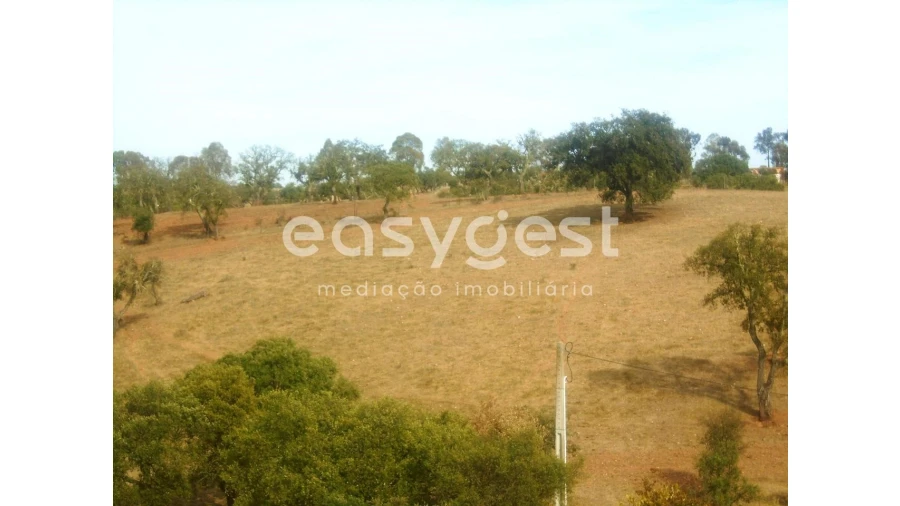 Quinta T3 para Venda em Serpa (Salvador e Santa Maria) Foto 23