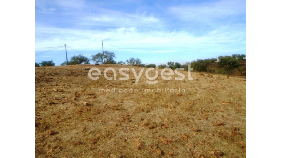 Quinta T3 para Venda em Serpa (Salvador e Santa Maria) Foto 25