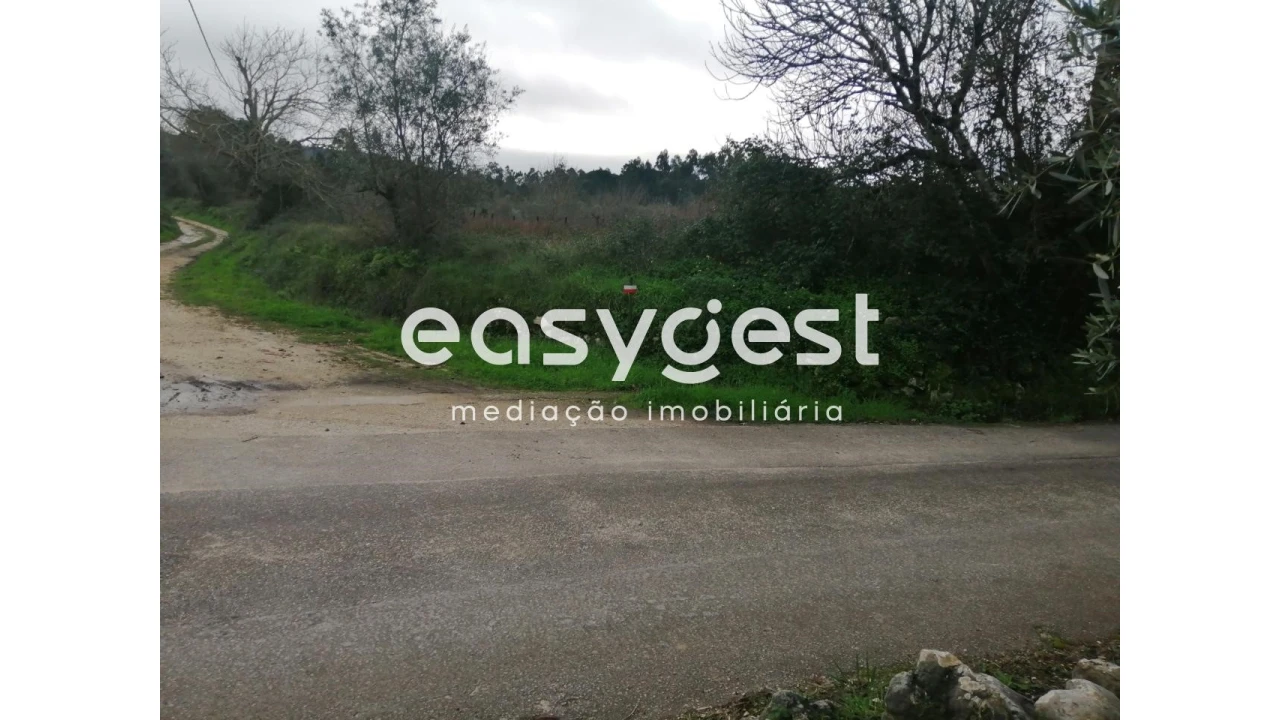 Terreno para Venda em Condeixa-A-Velha e Condeixa-A-Nova Foto 4