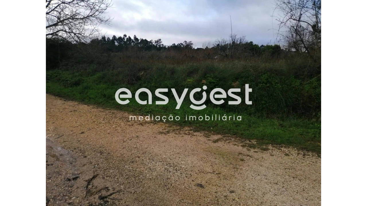 Terreno para Venda em Condeixa-A-Velha e Condeixa-A-Nova Foto 6