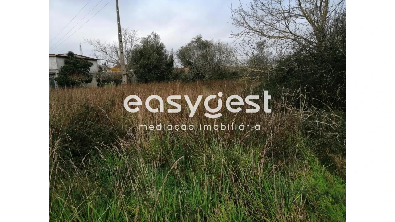 Terreno para Venda em Condeixa-A-Velha e Condeixa-A-Nova Foto 9