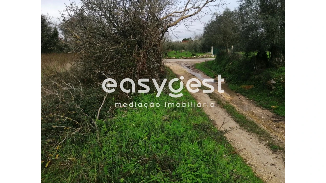 Terreno para Venda em Condeixa-A-Velha e Condeixa-A-Nova Foto 10