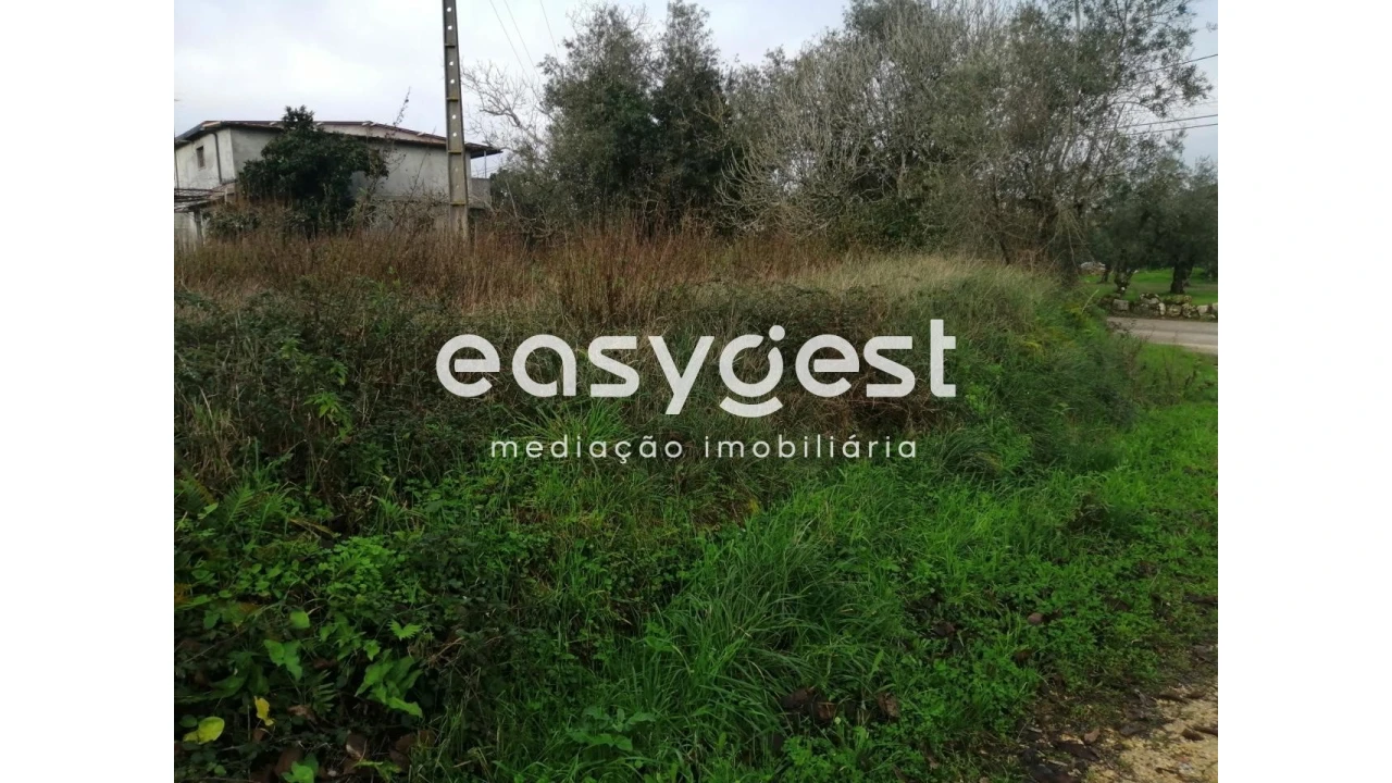 Terreno para Venda em Condeixa-A-Velha e Condeixa-A-Nova Foto 11