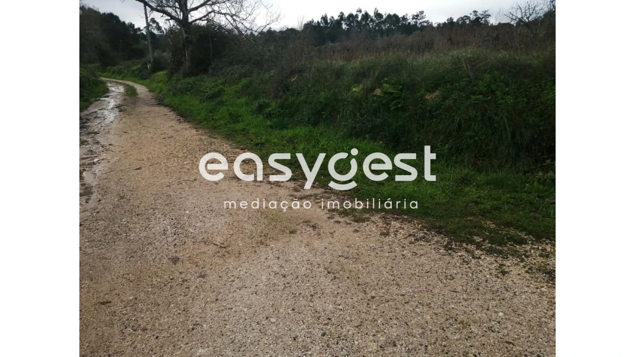 Terreno para Venda em Condeixa-A-Velha e Condeixa-A-Nova Foto 12