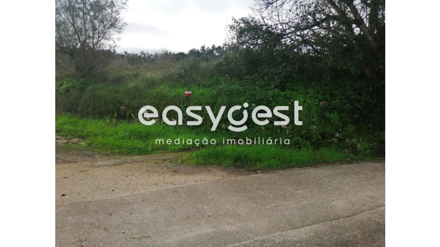 Terreno para Venda em Condeixa-A-Velha e Condeixa-A-Nova Foto 1